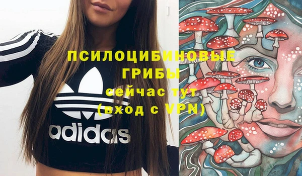 меф Нягань