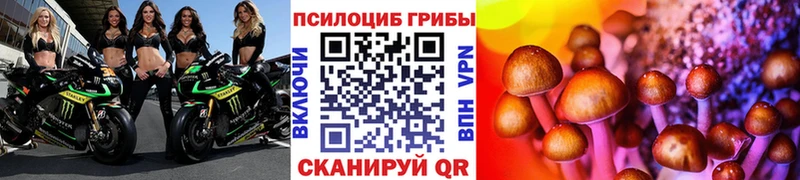 Псилоцибиновые грибы ЛСД  Купить  Уварово 